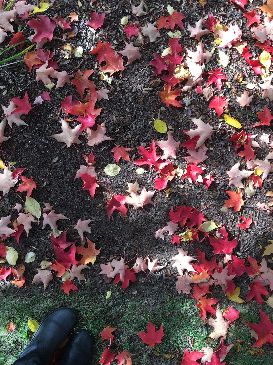 Popular Questions Answered: How Are Colors Chosen?